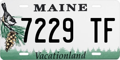 ME license plate 7229TF