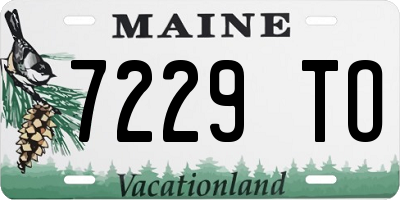 ME license plate 7229TO