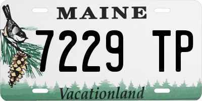 ME license plate 7229TP