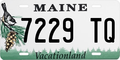 ME license plate 7229TQ