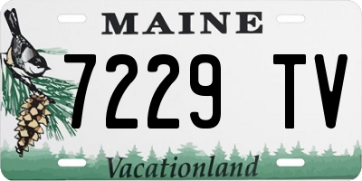 ME license plate 7229TV