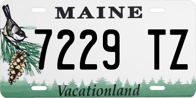 ME license plate 7229TZ