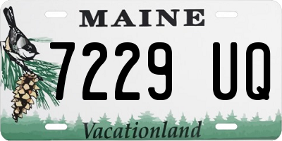ME license plate 7229UQ