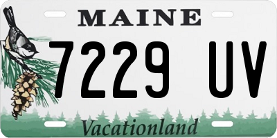 ME license plate 7229UV