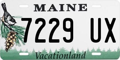 ME license plate 7229UX
