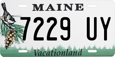 ME license plate 7229UY