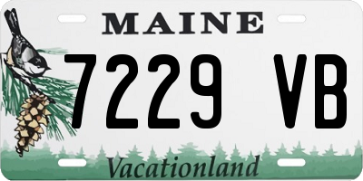 ME license plate 7229VB