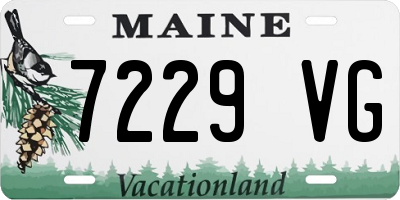 ME license plate 7229VG