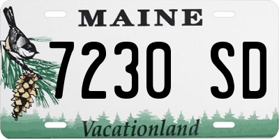 ME license plate 7230SD