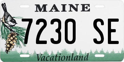 ME license plate 7230SE