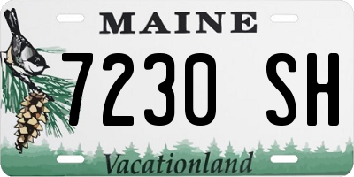 ME license plate 7230SH