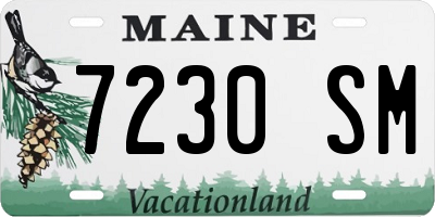 ME license plate 7230SM