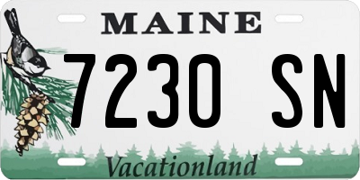 ME license plate 7230SN