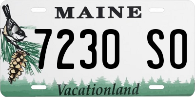 ME license plate 7230SO