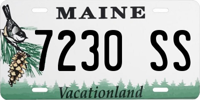 ME license plate 7230SS