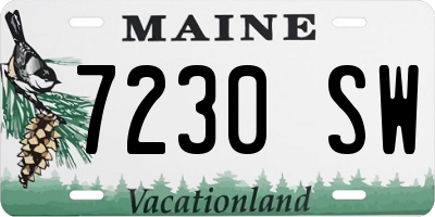 ME license plate 7230SW