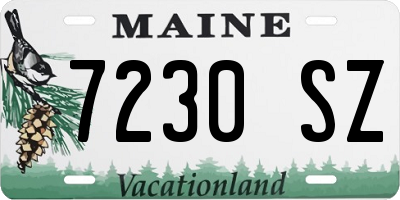 ME license plate 7230SZ