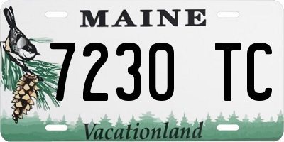 ME license plate 7230TC