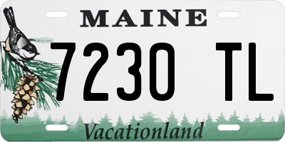 ME license plate 7230TL
