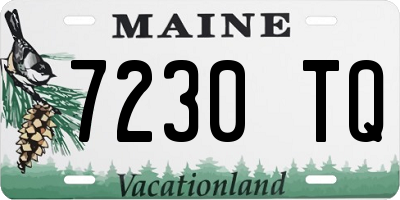 ME license plate 7230TQ