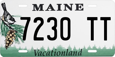 ME license plate 7230TT