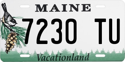 ME license plate 7230TU