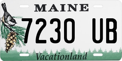 ME license plate 7230UB
