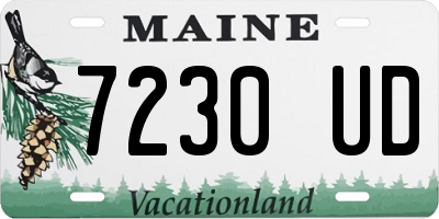 ME license plate 7230UD