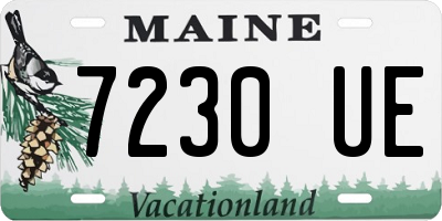 ME license plate 7230UE