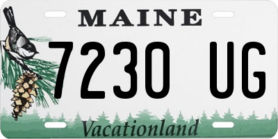 ME license plate 7230UG