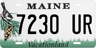 ME license plate 7230UR