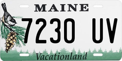 ME license plate 7230UV