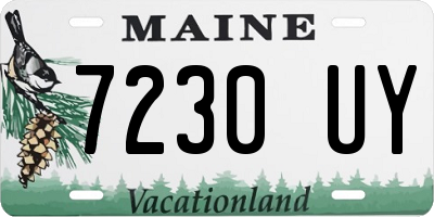 ME license plate 7230UY