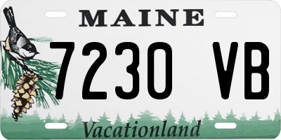 ME license plate 7230VB