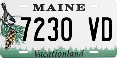 ME license plate 7230VD