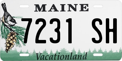 ME license plate 7231SH