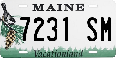 ME license plate 7231SM
