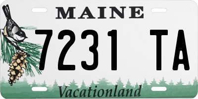 ME license plate 7231TA