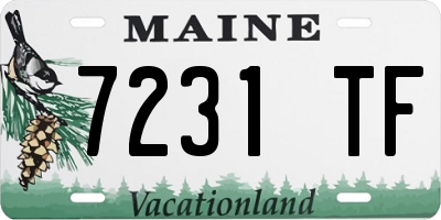 ME license plate 7231TF