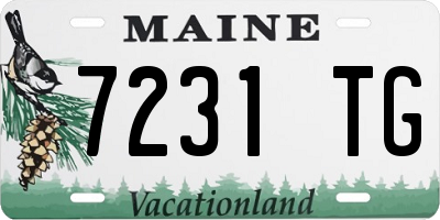 ME license plate 7231TG