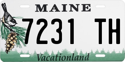 ME license plate 7231TH