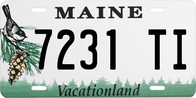 ME license plate 7231TI
