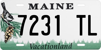 ME license plate 7231TL