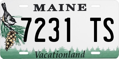 ME license plate 7231TS
