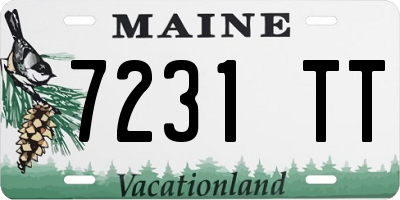 ME license plate 7231TT