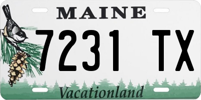 ME license plate 7231TX