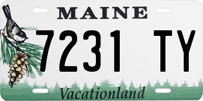 ME license plate 7231TY