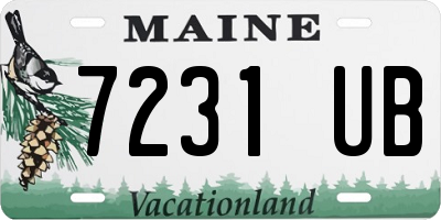 ME license plate 7231UB