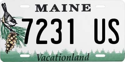 ME license plate 7231US