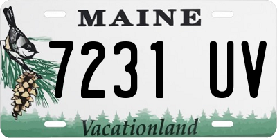 ME license plate 7231UV